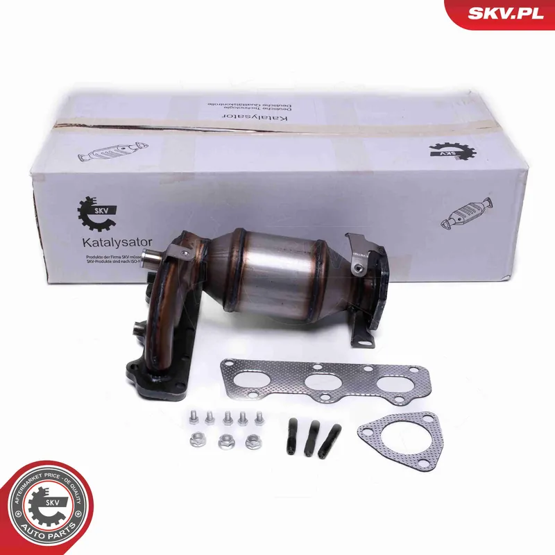 Szybka dostawa Katalizator ESEN SKV 62SKV026