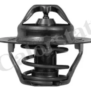 Oferta Termostat, płyn chłodzący CALORSTAT BY VERNET TH6310.88J