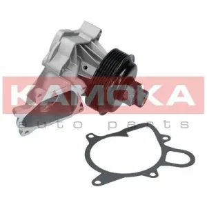 Darmowa dostawa POMPA WODY BMW 3 (E46) 01-, 7 (E65) 02-09, X5 03-